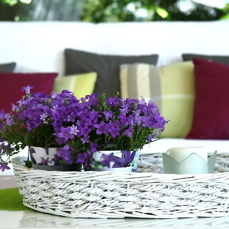 Villa Italian Experience- La Picena Ripatransone