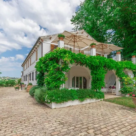 Italian Experience- La Picena *