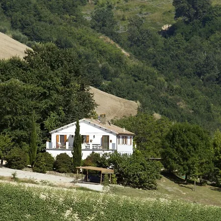 Italian Experience- La Picena Ripatransone